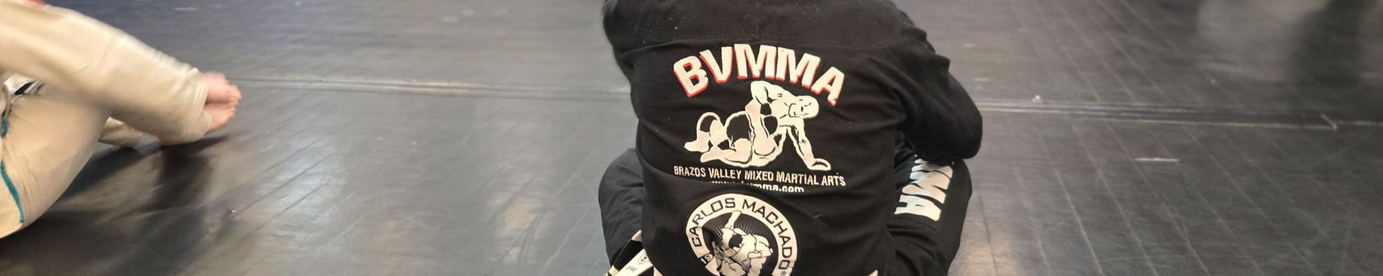 Brazilian Jiu-Jitsu training