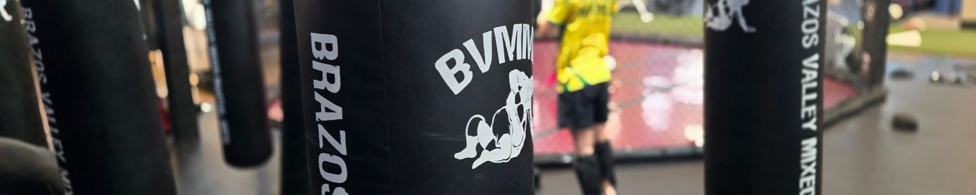 Brazilian Jiu-Jitsu training