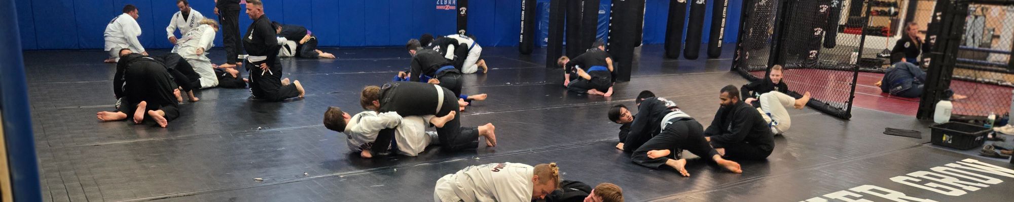 Brazilian Jiu-Jitsu training