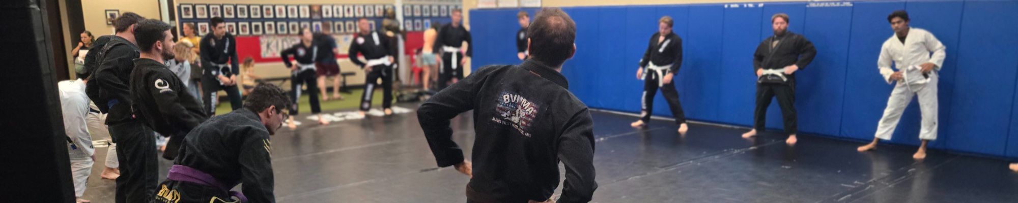 Brazilian Jiu-Jitsu training